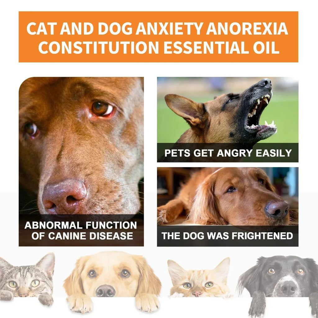 Natural Organic Calming Drops for Dogs & Cats - Pet Anxiety Relief Blend