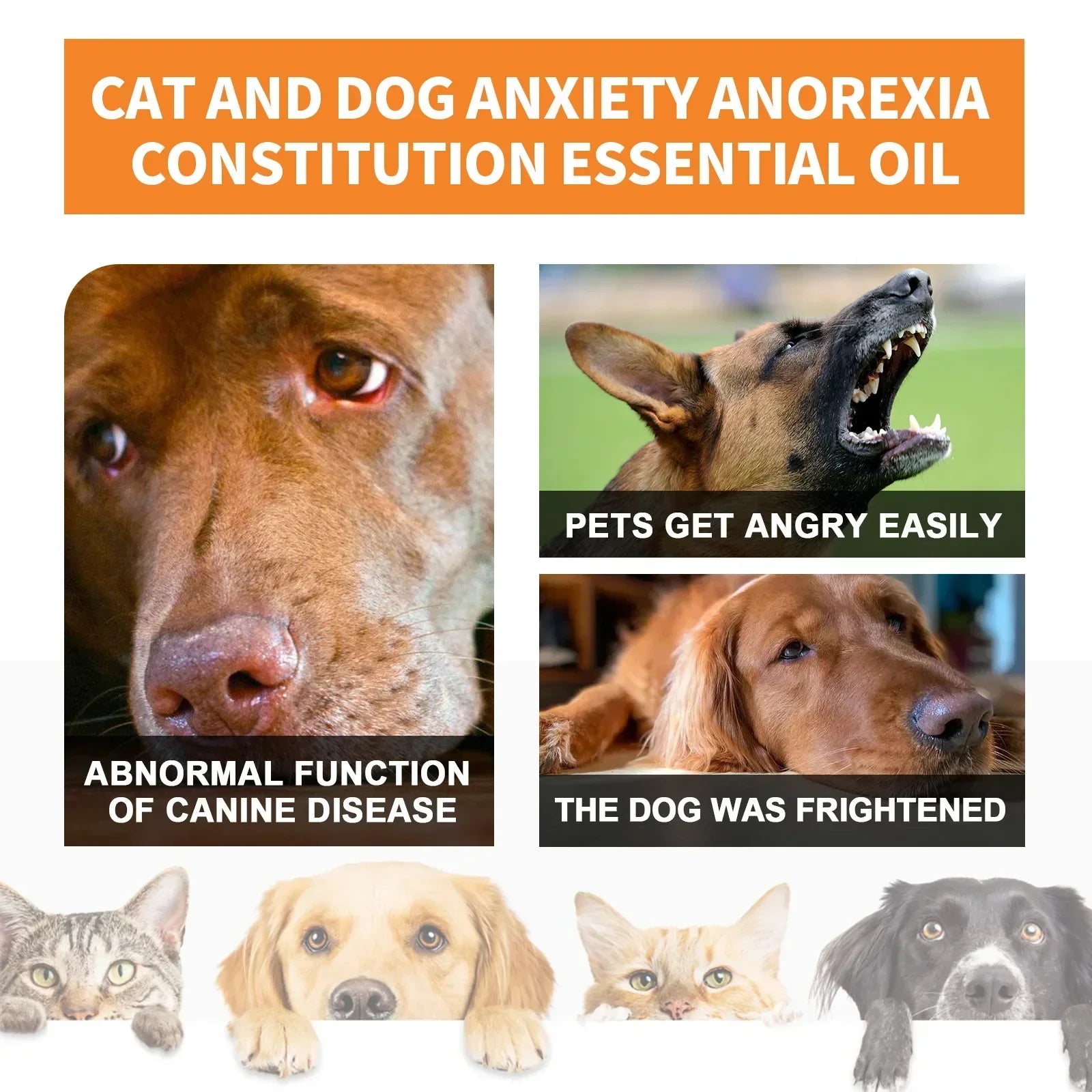 Natural Organic Calming Drops for Dogs & Cats - Pet Anxiety Relief Blend